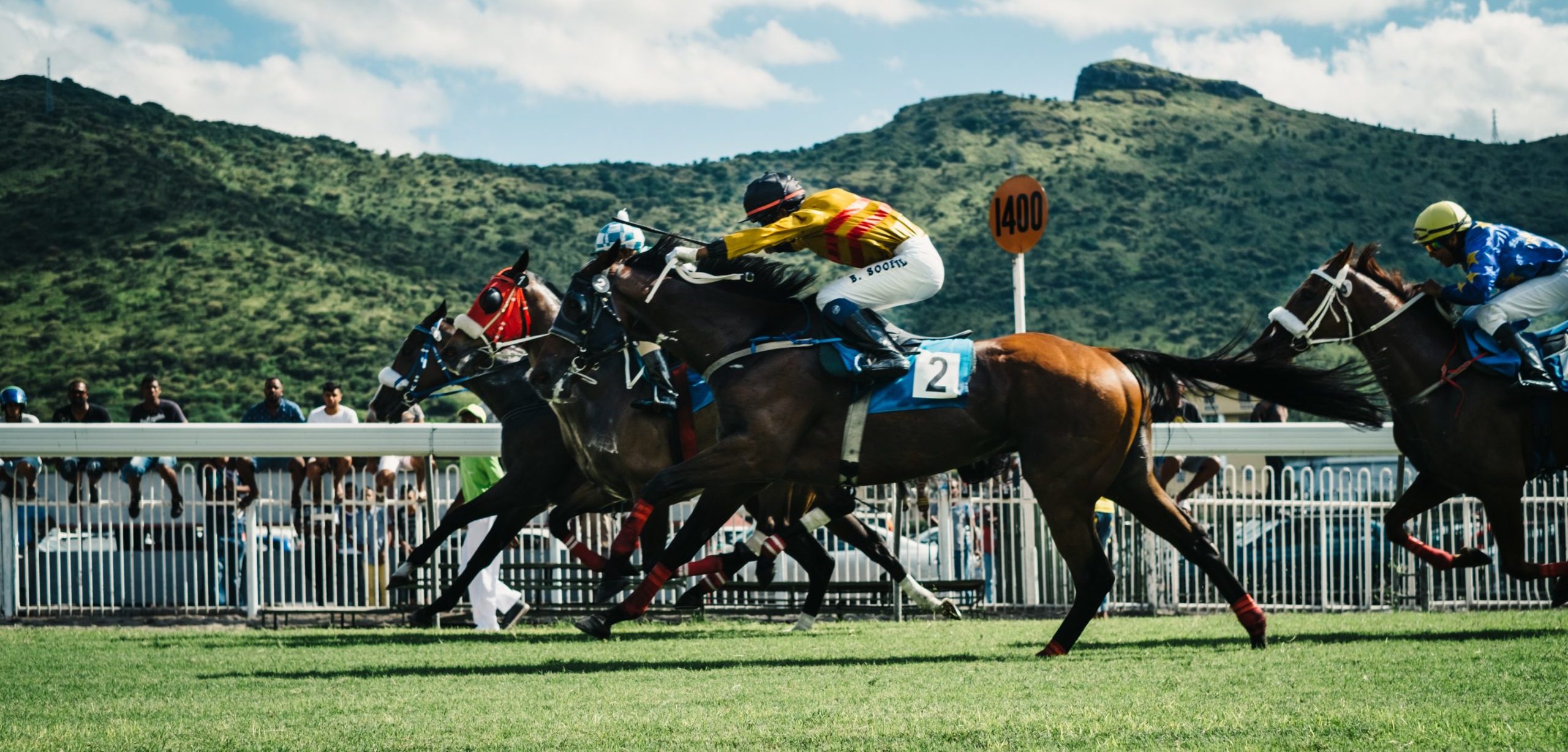 Bookmakers Gambling Licence McCartan Turkington Breen