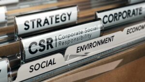 What is the difference between CSR and ESG for Northern Ireland's businesses