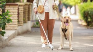Blindness Sight Loss Claims Solicitors Belfast & Northern Ireland